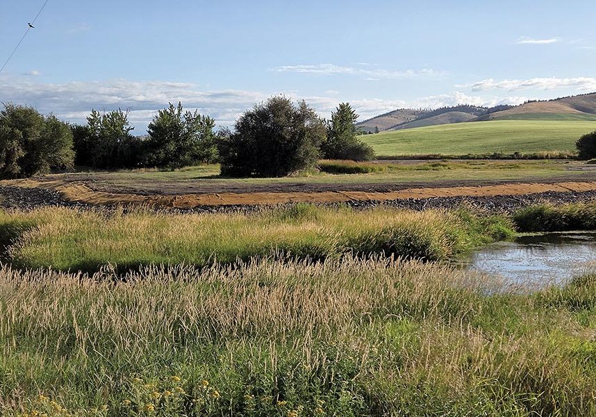 A partnership between private landowners, U.S. Fish and Wildlife Service’s Partners for Fish and Wildlife Program, Spokane Conservation District, and The Lands Council re-establishing riparian forest along a stretch of Hangman Creek in Spokane County to reduce erosion and flooding, as well as promote wildlife habitat. Photo courtesy of Brian Walker, U.S. Fish and Wildlife Service.