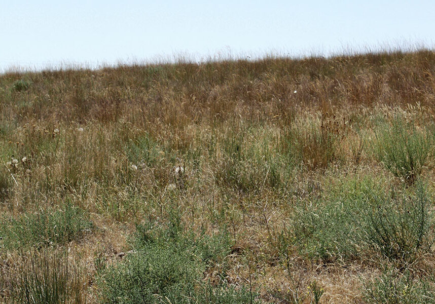 CRP_Benton_Co.007.716