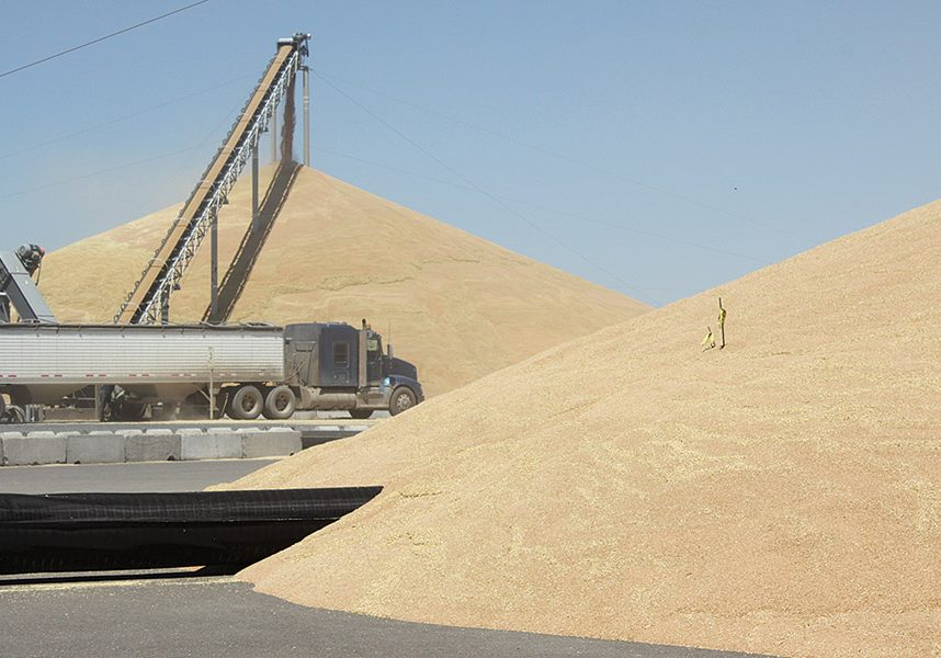Elevator_grain_pile.113.716