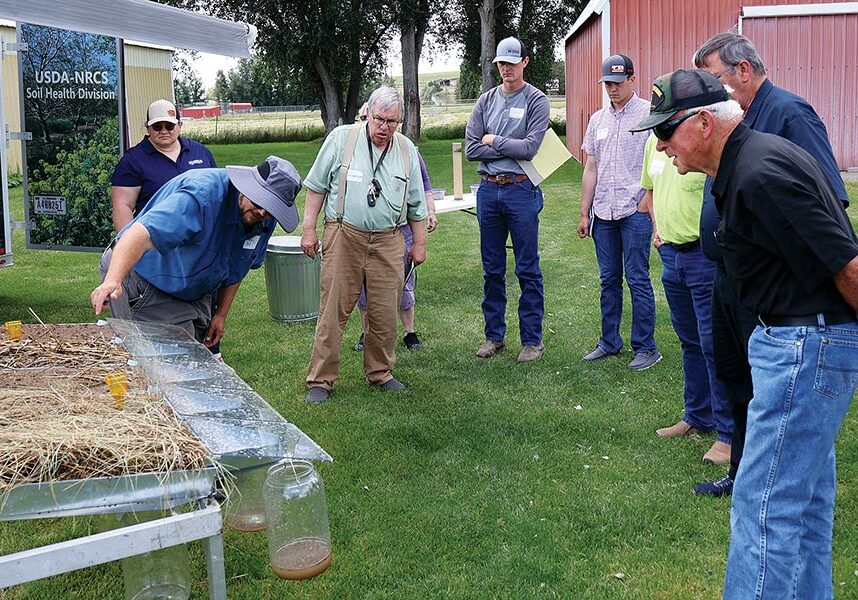 Wheat-College-2025-1 Wheat-College-2025-1