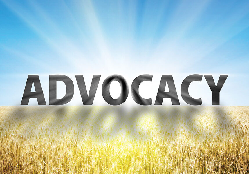 advocacy