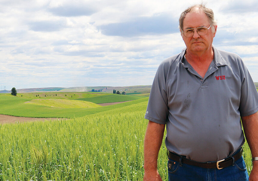 Chris Laney is shown on Windy Gap Road by his stand of spring wheat. As evidenced by the trees, the grass strips and the divided slope in the background, conservation practices are an important component of Lanefield Farms’ operation, a farm founded in 1878 north of Sprague. Laney served as president of the Washington Association of Wheat Growers in 1989/90.