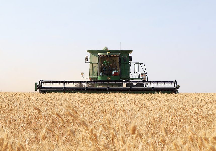 harvest_2026_1