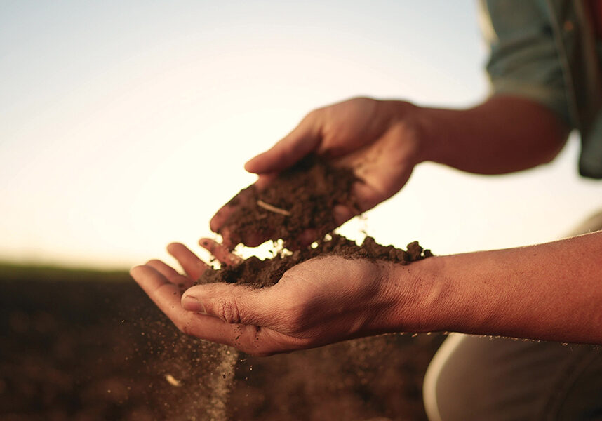 soil-hands