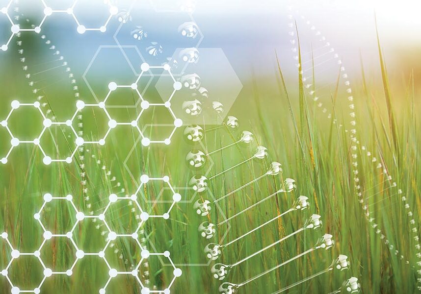 wheat-genes-dna wheat-genes-dna