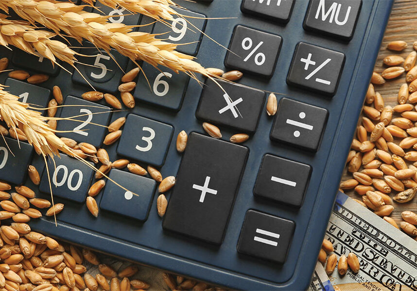 wheat-grain-money-calculator-428056936